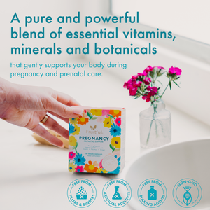 Fruitful® Pregnancy – Prenatal Support